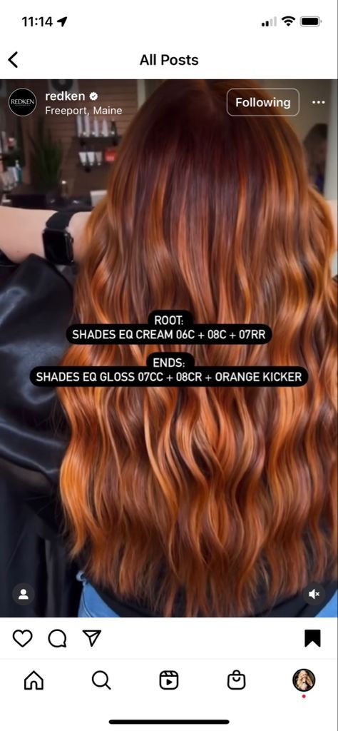 Redken Formulas Red, Shades Copper Formula, Red Vs Copper Hair, Copper Formula Shades Eq, Copper Color Formula, Pumpkin Spice Hair Color Formula, Copper Formula Hair, Copper Shades Eq Formula, Redken Red Hair Color Formulas