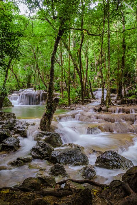 Erawan Waterfall Thailand, Is A Beautiful Deep  Free Stock Photo and Image 682268460 China Waterfall, Erawan Waterfall, Indonesia Waterfall, Tropical Rainforest Waterfall, Outline Pictures, Erawan Waterfall Thailand, Athirapally Waterfalls Photography, Forest Waterfall, Business Cards And Flyers