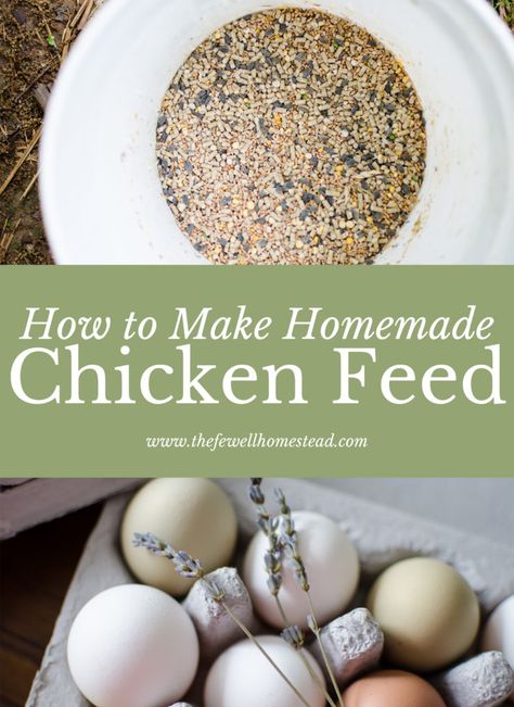 Chicken Feed Recipe, Natural Chicken Feed, Fermented Chicken Feed, Chicken Feed Diy, Homemade Chicken Feed, Fermenting Chicken Feed, Organic Chicken Feed, Homestead Livestock, Cheap Chicken Coops