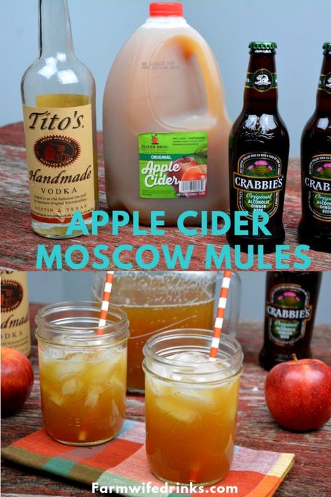 Apple Cider Moscow Mule Recipe Pitcher, Apple Cider Mule Ginger Beer, Apple Mule Ginger Beer, Fall Moscow Mule Pitcher Recipe, Apple Cider Moscow Mule Pitcher, Apple Cider Moscow Mule Recipe, Thanksgiving Cocktails Pitcher, Apple Cider Vodka Punch, Apple Cider Ginger Beer