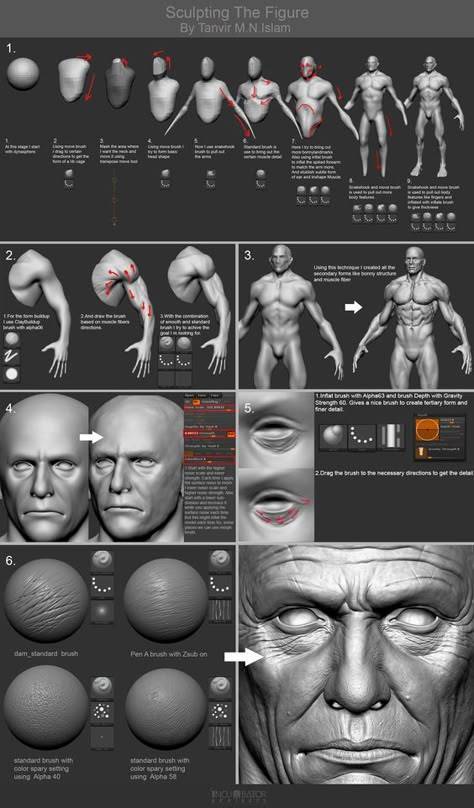 Zbrush Anatomy, Zbrush Models, 3d Karakter, Zbrush Character, Sculpting Tutorials, Zbrush Tutorial, Anatomy Sculpture, 3d Modeling Tutorial, Digital Sculpting