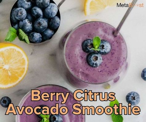 Meredith Shirk & Svelte Training Metaboost Recipes, Beginner Yoga Flow, Svelte Training, 2024 Health, Meredith Shirk, Winter Smoothies, Avocado Smoothie Recipe, Dairy Intolerance, Avocado Chocolate Mousse