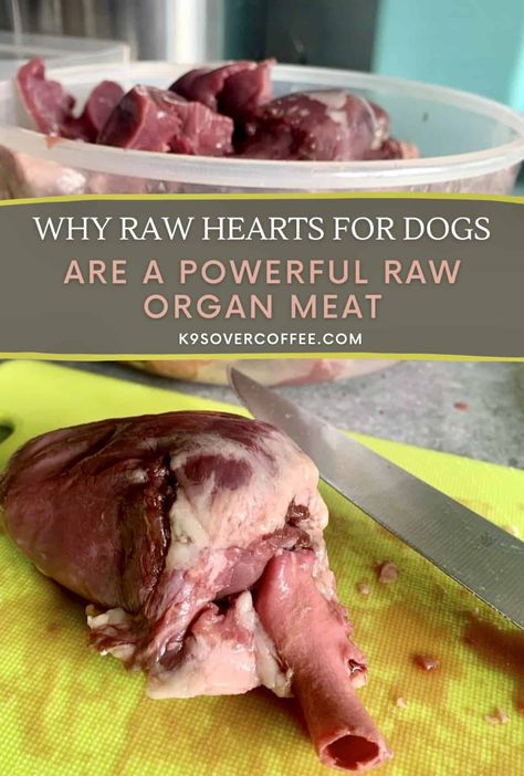 Chicken Hearts For Dogs, Organ Recipes, Raw Feeding For Dogs, Food Rotation, Organ Meat, Raw Pork, Raw Pet Food, Raw Dog Food, Rib Meat