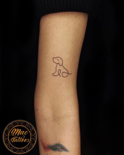 Small dog line work piece inked by @tattooink883 at @mac_tattoos_original #hauzkhas For appointments do call or what’s app us on : +91 8851 012 863 +91 7042 130 654 Thanks for looking 😊 #dogtattoos #líneworktattoo #smalltattoosforgirls #delhitattoos #delhitattoostudio #besttattoostudioindelhi Original Dog Tattoo, Small Girl Tattoos, Dog Line, Line Work Tattoo, Line Work, Dog Tattoo, Dog Tattoos, Tattoo Inspo, Small Dog