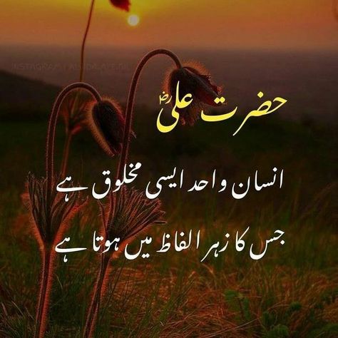 Hazrat Ali Sayings, Urdu Quotes Images, Inspirational Quotes In Urdu, Best Nature Images, Hadith Of The Day, I Love Her Quotes, Mola Ali, Imam Ali Quotes, Best Islamic Quotes