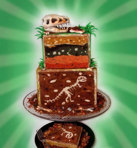 LittleThings.com : Fun Fossil Cake Is Perfect For Little Dino Lovers -- Or, if you are feeling particularly ambitious, add bones in the layers of a tiered cake that mirror the layers in the Earth! There are plenty of ways to add fossils to your favorite baked goods. Using your favorite decorating techniques, or maybe some that you learned from these talented bakers, you can make a fabulous fossilized cake you'll want to dig into! If you can't get enough creative cake ideas, make sure to SHARE... Geology Cake, Fossil Cake, Normal Cake, Solar System Cake, Surprise Inside Cake, Lumberjack Cake, Mardi Gras Cake, Chocolate Rocks, Inside Cake