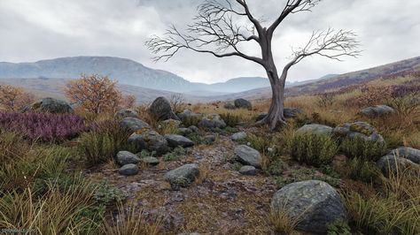 Overcast Lighting Questions Dark Medieval, James Gurney, Types Of Forests, Dead Tree, Artist Working, Landscape Concept, Level Design, Scottish Landscape, Game Inspiration