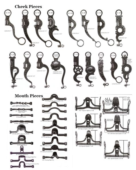 Spade Bit Horse, Bits For Horses, Bridle Bits, Horse Drawn Wagon, Horse Facts, Horse Info, Cowboy Gear, Horse Bridle, Horse Equipment