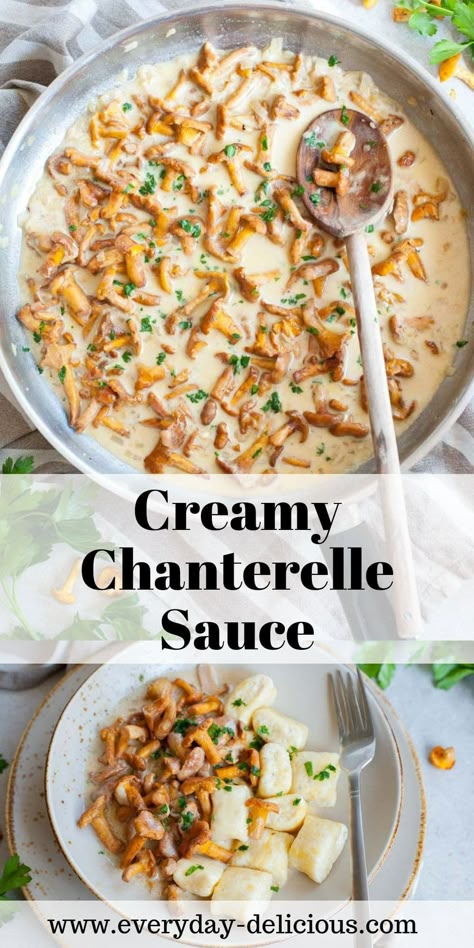 Cream Of Chanterelle Soup, Chanterelle Soup Recipes, Chicken Chanterelle Mushroom Recipes, Chicken And Chanterelle Mushrooms, Chanterelle Mushroom Pasta, Dried Chanterelle Mushroom Recipes, Recipes With Chanterelle Mushrooms, Chantrell Mushrooms Recipes Pasta, Chanterelle Mushroom Recipes Vegan