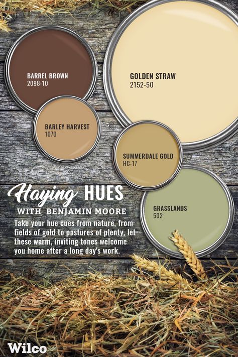 Natural House Exterior Colors, Warm Whole House Paint Scheme, Farm Colour Palette, Two Tone Colors For Walls, Rustic Interior Paint Colors, Warm Paint Colors For Home, Warm Wall Colors, Gold Paint Colors, Farmhouse Color Scheme