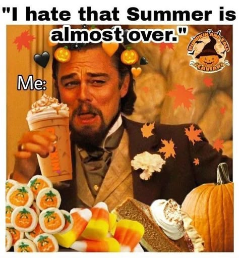 Pumpkin Spice Season, Fall Feels, Chuck Norris, Autumn Aesthetic, What’s Going On, Halloween Season, Fall Fun, Just For Laughs Videos, Favorite Holiday