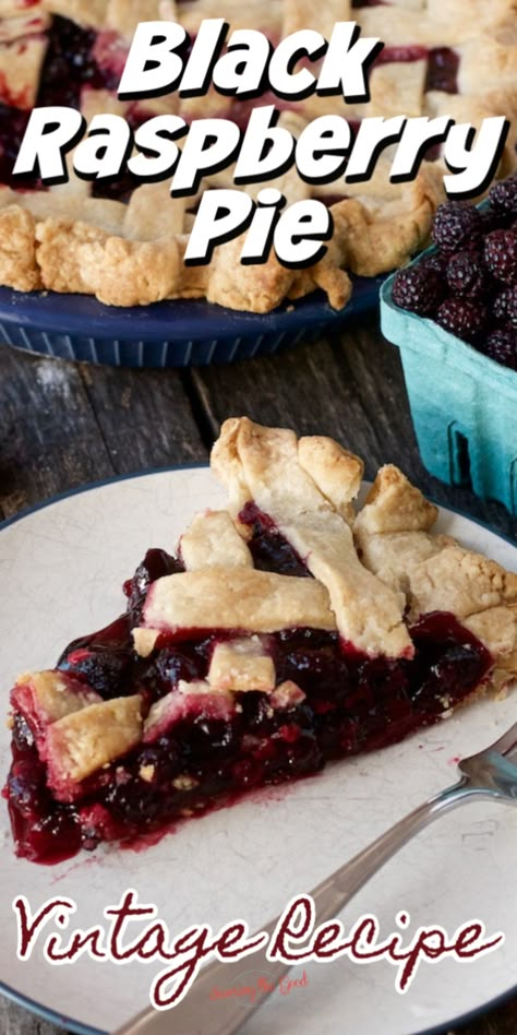 Blackberry Raspberry Pie, Black Raspberry Cake Recipes, Raspberry Pie Recipe Easy, Black Raspberries Recipes, Black Raspberry Pie Filling, Recipes With Black Raspberries, Fresh Black Raspberry Recipes, Black Raspberry Desserts, Black Raspberry Custard Pie