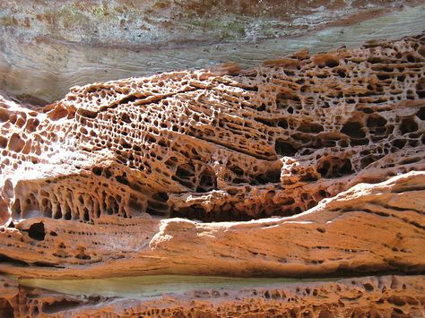 Honeycomb weathering at Altdahn Castle in the Palatinate Forest, Germany Biological Weathering, Physical Weathering, Chemical Weathering, Weather Rock, Weathering And Erosion, Parts Of The Earth, Humic Acid, 2d Game Art, Earth Surface