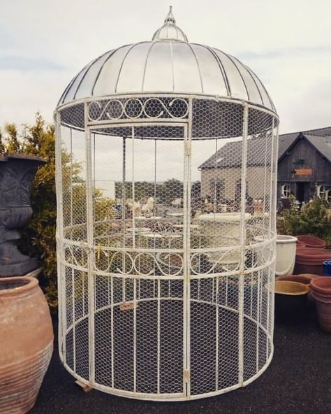 JardinandFurniture on Instagram: “Little aviary goes big 🤘 Looking for a fabulous home for the beloved birds? We got one for you! Presenting the -voliere- ❤ . . #volière…” Outdoor Aviary, Big Bird Cage, Fish Ponds Backyard, Pet Enclosures, Bird Cage Design, Cage Bird, Animal Garden, Bird Sanctuary, Pet Enclosure