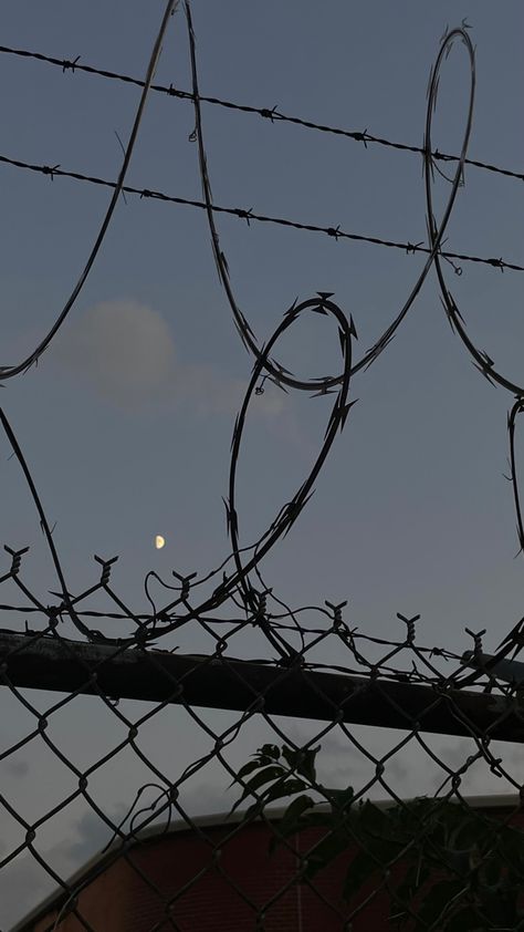 Barbed Wire Fence Aesthetic, Barbed Wire Aesthetic, Dark Fence, Wire Aesthetic, Barbed Wire Fence, Barbed Wire Fencing, Low Exposure, Hanging Tree, Wire Fence