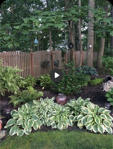 Northeast Landscaping, Shade Garden Plants, Hosta Gardens, Have Inspiration, Woodland Garden, Garden Yard Ideas, Front Yard Garden, Plants And Flowers, Front Yard Landscaping Design