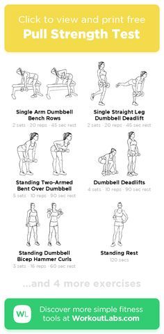 Push Pull Workout Routine, Best Workout Split, Push Pull Legs Workout, Leg Workout Plan, Push Day Workout, Pull Workout, Push Pull Workout, Pull Day Workout, Pull Day