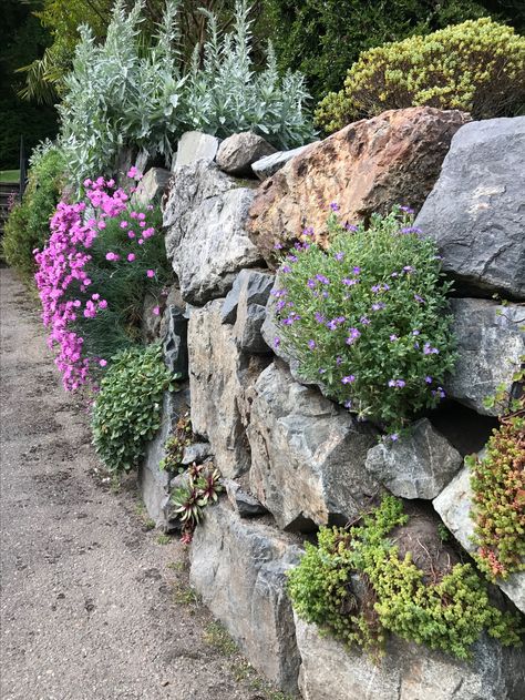 Garden Rock Retaining Wall, Rock Wall Flowers, Rock Wall Plants, Rock Wall Garden Ideas, Natural Looking Garden, Rock Wall Landscaping, Rock Wall Gardens, Rockery Garden, Small Garden Landscape