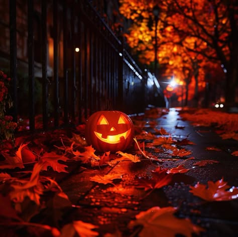 Aesthetic Halloween Pics, Jackolantern Wallpaper, Halloween Asthetic Picture, October Vibes Aesthetic, Halloween Pictures Aesthetic, Halloween Widgets Aesthetic, Halloween Asethic, Halloween Night Aesthetic, Halloween Vibes Aesthetic