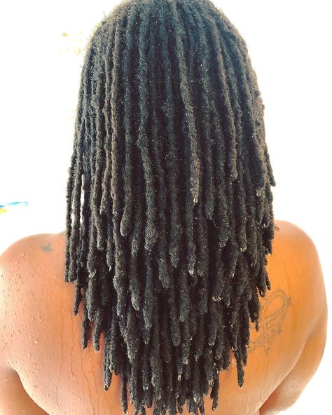 Rebecca 🇻🇨 on Instagram: “This picture was taken after my most recent wash.💧🤗 The layers in my locs are one of my favorite things!!!• • • Although I’ve never dyed my…” Loc Layers, Layered Locs, Dreads Locks, Locks Hairstyles, Women With Dreadlocks, Locs Styles, Loc Inspiration, Beautiful Dreadlocks, Short Locs Hairstyles