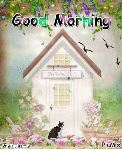 Blessed Good Morning, Good Morning Sayings, Good Morning Gifs, Cute Good Morning Gif, Good Morning Animals, Morning Gifs, Morning Sayings, Gd Morning, Good Morning Animation