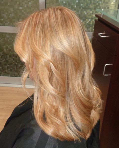 Light golden blonde/strawberry blonde. . . . #nicolesaaavedracolorist #mastercolorist #hair #haircolor #joico #hairgoals #hairlife… | Instagram Light Golden Blonde, Light Strawberry Blonde, Warm Blonde Hair, Beige Blonde Hair, Strawberry Blonde Hair Color, Strawberry Hair, Golden Blonde Hair, Ginger Hair Color, Wella Hair