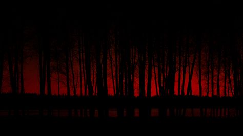 Dark - Forest Wallpaper Wallpapers Scary, Scary Wallpapers, Wallpaper Scary, Horror Wallpapers, Creepy Wallpaper, Evil Aesthetic, Backgrounds Halloween, Scary Dark, Backgrounds Red