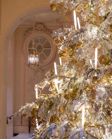 Parisian Christmas, Ritz Paris, I'm Sorry, Versailles, Thinking Of You, Most Beautiful, Christmas Tree, Paris, Christmas