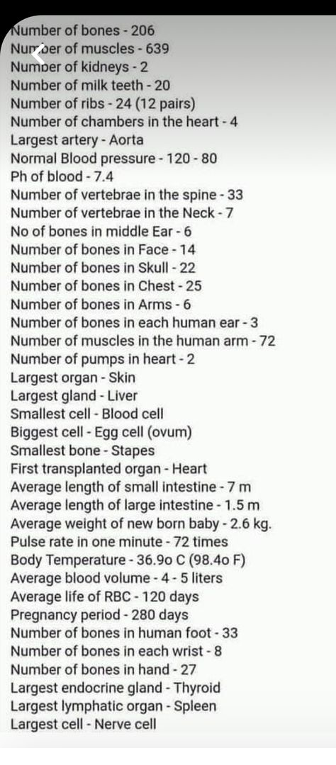 Limits Of The Human Body For Writers, Body Facts, Human Body Facts, The Human Body, Book Stuff, Writers, Human Body, Writing, Human