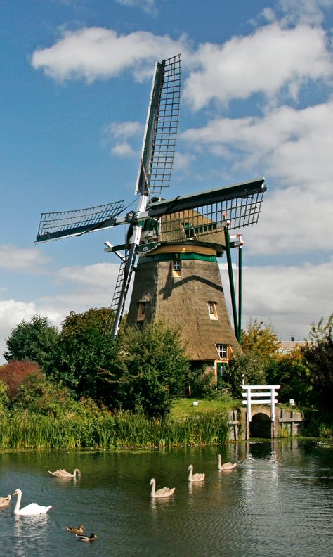 The Netherlands Nederland Aesthetic, Windmill Aesthetic, Windmill Netherlands, Puppy Calendar, Dutch Aesthetic, Windmill Images, Netherlands Windmills, Windmill Photos, Windmill House