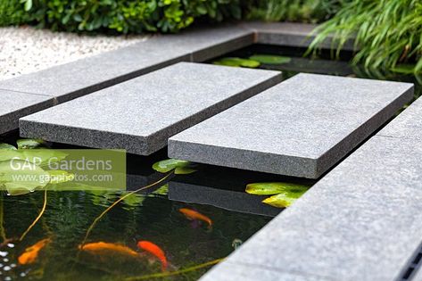 A detail shot of stepping stones over modern narrow garden pond with goldfish. Garden design by John Davies Landscape. Raised Garden Designs, Japanese Water Gardens, Garden Stream, Koi Pond Design, Goldfish Pond, Small Garden Landscape, Narrow Garden, Outdoor Ponds, Garden Water Feature