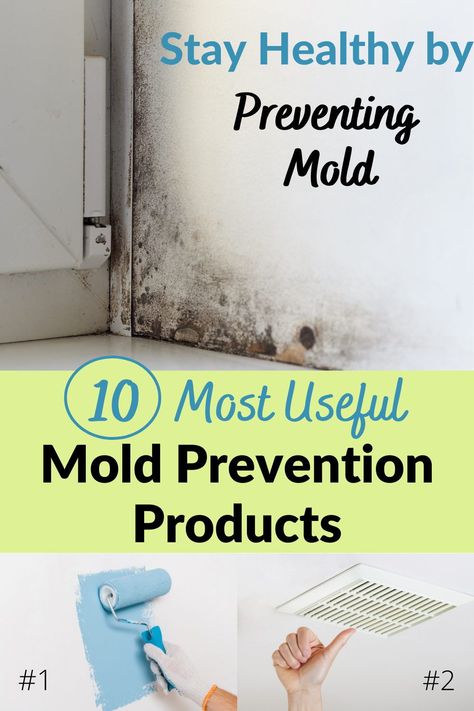 Mold was a huge problem for us. We moved and now I want to do everything I can to keep it from happening again. This was very helpful on my journey to keep healthy and away from mold. How To Get Rid Of Mold On Walls, Essential Oil For Mold, Diy Mold Testing, How To Prevent Mold In Bathroom, Mold Affects On Health, Natural Headache Relief, Mold Prevention, House Mold, Natural Headache Remedies