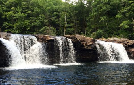 West Virginia Waterfalls, West Virginia Vacation, Monongahela National Forest, Hidden Oasis, Virginia Vacation, Hiking Places, Forest Waterfall, Waterfall Trail, Virginia Travel