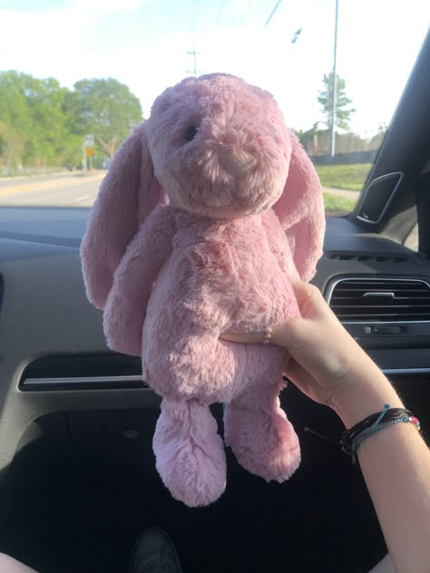 Pink Bunny Plush Aesthetic, Pink Bunny Stuffed Animal, Pink Stuffed Bunny, Jellycat Pink Bunny, Pink Bunny Plush, Pink Jellycat Bunny, Pink Bunny Jellycat, Pink Jellycat, Pink Plushies