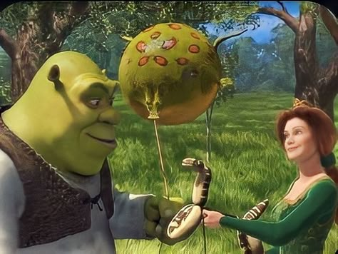 Shrek Onion Carriage, Shrek Frog Balloon, Shrek Scenes, Shrek Balloons, Shrek Pictures, Shrek Core, Shrek Characters, Bleach Vs Naruto, Shrek Aesthetic