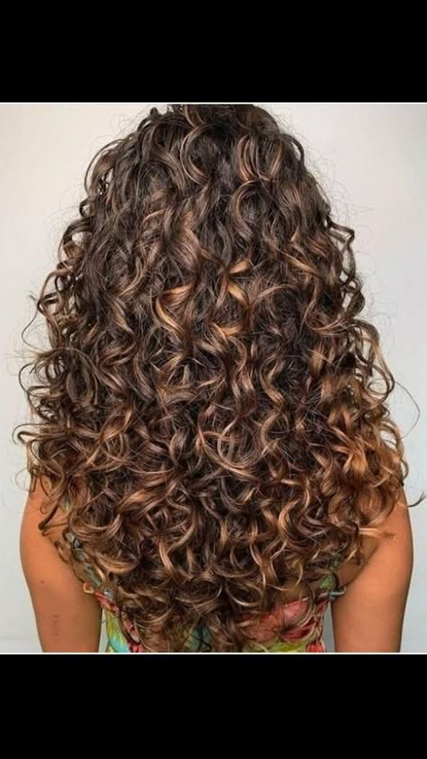 curly hair in 2022 | Long curly haircuts, Highlights curly hair, Colored curly hair Sunkissed Highlights Curly Hair, Long Curly Haircuts, Dyed Curly Hair, Highlights Curly, Layered Curly Hair, Highlights Curly Hair, Colored Curly Hair, Curly Haircuts, Boys With Curly Hair