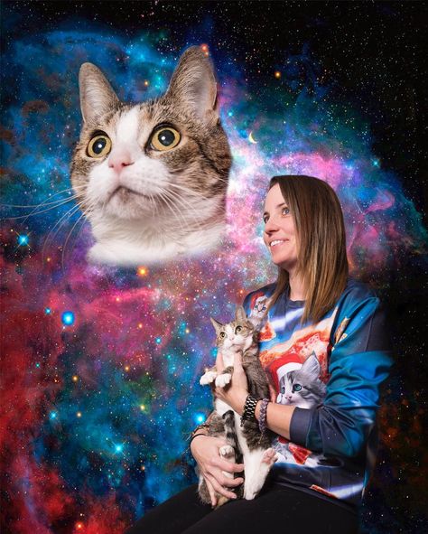 "Cosmic Kiki" creative portrait shoot with @mellerlite honoring Kiki. Fortunately we got this awesome image. Unfortunately Kiki is now in the cosmos but I am so glad we get to remember her with this! I have the magnet on my fridge Cat Photoshoot Ideas, Cat Family Photo, Awkward Family Photos Christmas, Christmas Cat Photos, Cat Family Portrait, Funny Holiday Photos, Awkward Family Pictures, Funny Photoshoot, Cat Photoshoot