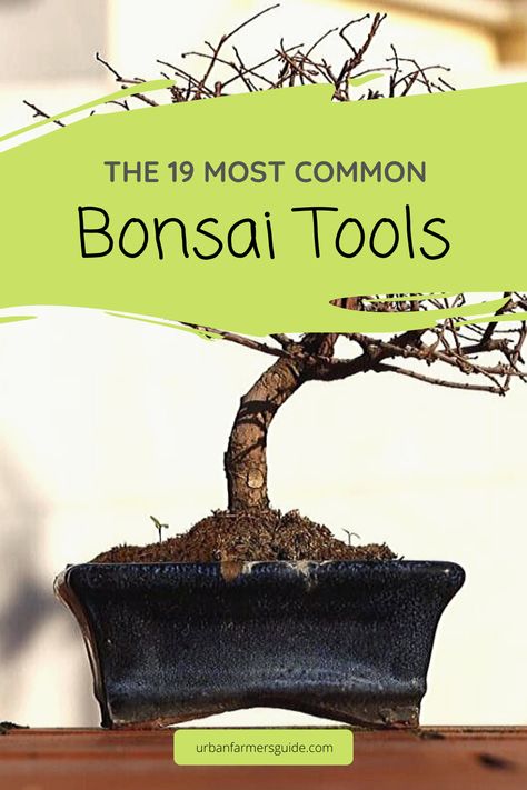 Bonsai Tools: To practice the art of Bonsai you must have the proper tools. I am going to list and describe the more common bonsai tools. When you first start out you will not need all of the tools listed and depending on your level How To Make Bonsai Plants, How To Grow Bonsai, Growing Bonsai, Bonsai Fruit Tree, Pot Gardening, Bonsai Pruning, Farming Guide, Bonsai Tree Care, Bonsai Techniques