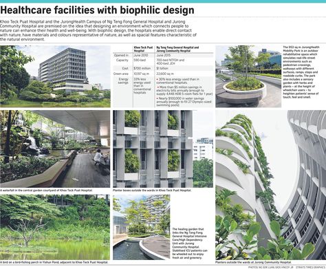 Hospitals that seek to heal with nature, Health News & Top Stories - The Straits Times Biophilic Hospital, Architecture Student Portfolio, Biophilic Architecture, Hospital Architecture, Community Hospital, Eco Architecture, Biophilic Design, Landscape Concept, Architecture Concept Drawings