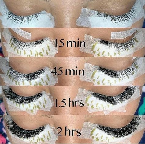 Eyelash Lift And Tint, Eyelash Extensions Salons, Lash Supplies, Evening Eye Makeup, Best Lash Extensions, Lashes Tutorial, Eyelash Tips, Eyelash Technician, Eyelash Extensions Styles