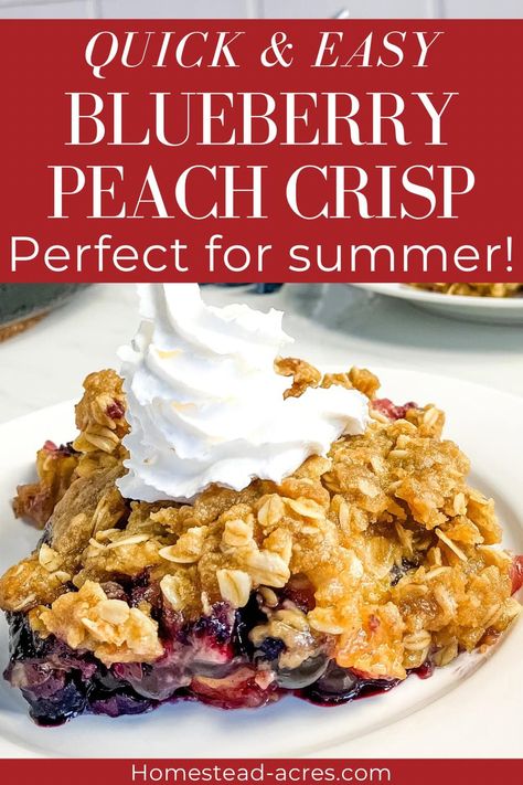 Craving a summer dessert that’s both delicious and easy? This blueberry peach crisp recipe is your answer! Featuring juicy blueberries and peaches topped with a crunchy oatmeal crust, it’s a summer dessert that’s both simple and satisfying. Perfect for summer desserts for a crowd, you can cook it in a skillet or a 9x13 pan for a quick and easy treat. This easy summer dessert is sure to become a staple in your recipe collection. Time to make your summer sweeter with this delightful recipe! Blueberry Peach Recipes, Easy Summer Desserts For A Crowd, Peach And Blueberry Crisp, Peaches Recipes, Peach Blueberry Crisp, Easy Blueberry Desserts, Crunchy Oatmeal, Oatmeal Crust, Easy Peach Crisp