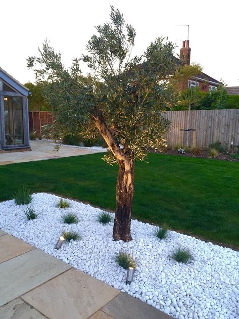 White Gravel Garden Ideas, White Stone Garden Ideas Landscaping, White Rock Garden Landscaping, White Stone Backyard, Pebble Garden Ideas Landscaping, White Garden Pebbles, White Stones Garden Ideas, White Pebbles Landscape, White Rock Garden Ideas