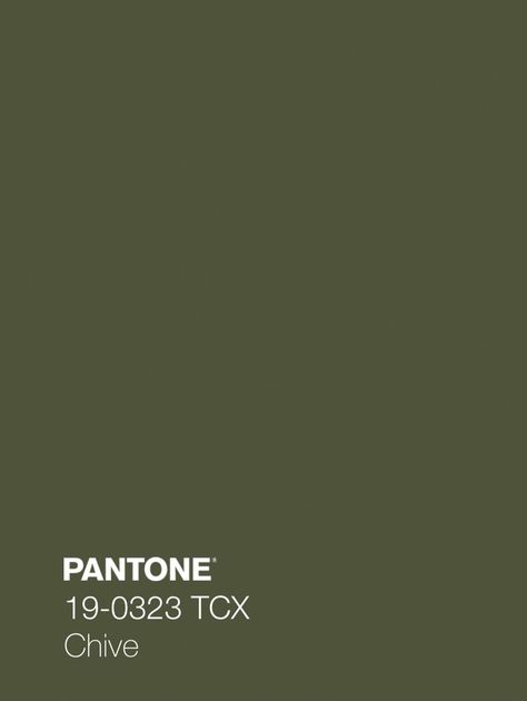 Pantone Green Shades, Shades Of Olive Green, Olive Green Paints, Pantone Green, Pantone Colour Palettes, Green Paint Colors, Green Colour Palette, Kitchen Inspiration Design, Dark Olive Green