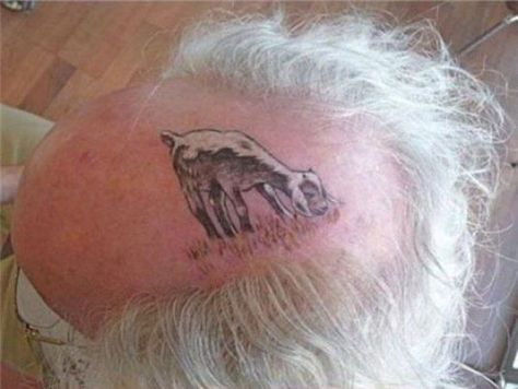 Tattoo of a goat grazing on your bald head is better than just a bald head. Guy Tattoos, Goat Tattoo, Bald Guy, Clever Tattoos, Going Bald, Supreme Wallpaper, Tattoos Geometric, Tattoo Fails, Geniale Tattoos