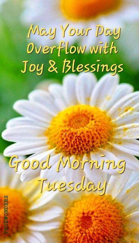 Tuesday Blessings Mornings, Good Morning Tuesday Blessings, Tuesday Morning Wishes, Good Morning Tuesday Wishes, Happy Tuesday Morning, Happy Sabbath Images, Tuesday Quotes Good Morning, Tuesday Greetings, Tuesday Blessings