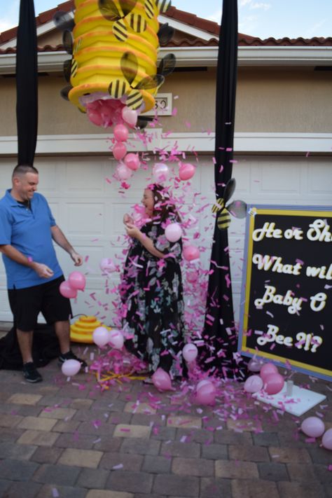 Gender Reveal Bee Ideas, What Could It Bee Gender Reveal, Bees Gender Reveal Ideas, Bee Hive Gender Reveal Pinata Diy, What Will Our Honey Bee Gender Reveal, Gender Reveal What Will It Bee, What Will It Bee Gender Reveal Cake, What Would It Bee Gender Reveal, Bumble Bee Gender Reveal Party Ideas