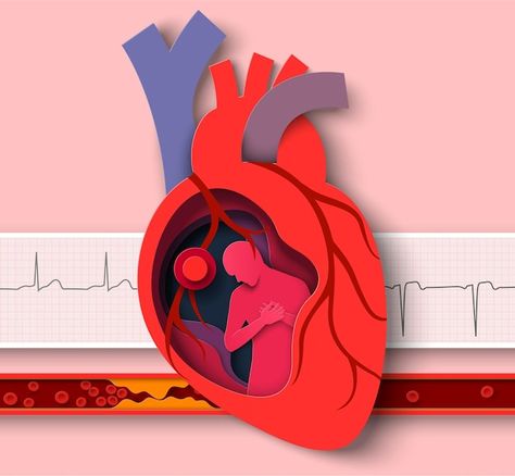 Heart Organ, Dairy Free Breastfeeding, Foot Reflexology Massage, Heart Anatomy, About Heart, Congenital Heart, Health Guru, Foot Reflexology, Clinic Design