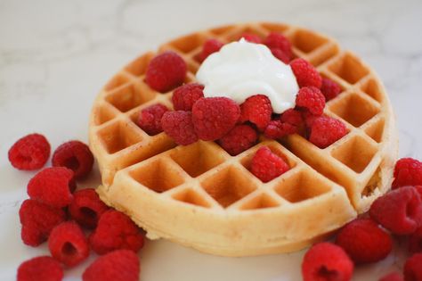 Sourdough Protein Waffles - Laura Lives the Good Life Sourdough Discard Protein Waffles, Protein Sourdough Pancakes, Sourdough Protein Waffles, Protein Sourdough Recipes, High Protein Sourdough Recipes, Sourdough Protein Recipes, Protein Sourdough, Protein Bakes, Sourdough 101