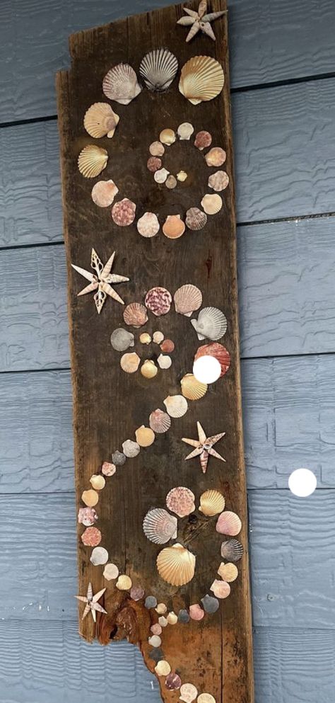 Shell Garden Decorations, Crafts With Large Seashells, Resin Crafts With Seashells, Seashell Garden Ideas, How To Display Seashell Collection, Beach Shells Display, She’ll Craft Ideas, She’ll Display, Seashell Storage Ideas