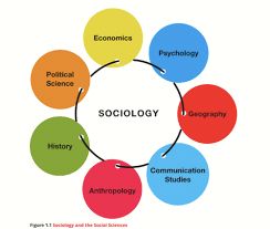 Sociology Art Illustrations, Sociology Major Aesthetic, Sociology Facts, Social Science Aesthetic, Sociology Pictures, Disgustingly Educated, Sociology Aesthetic, Sociology Careers, Sociology A Level